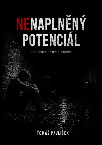 Nenaplněný potenciál aneb existuje ještě naděje?