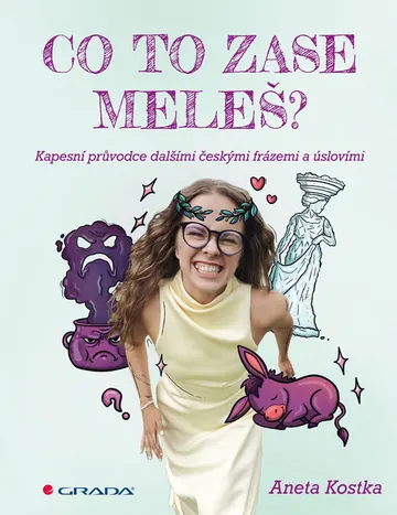 Co to zase meleš? Kapesní průvodce dalšími českými frázemi a úslovími