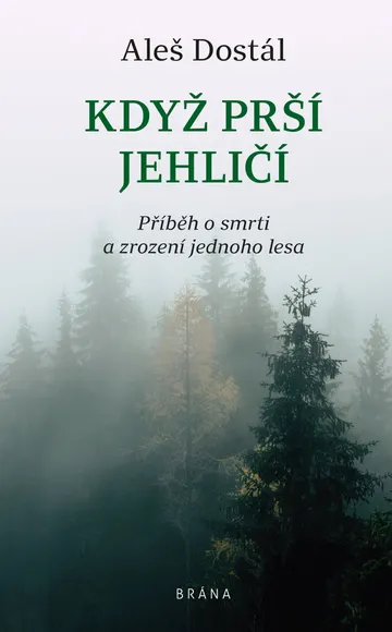 Když prší jehličí