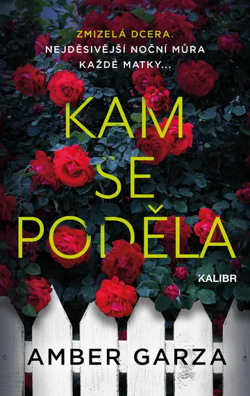 Kam se poděla – obálka