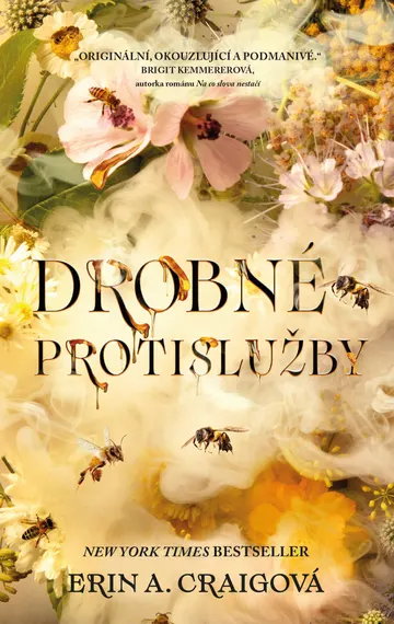 Drobné protislužby – obálka