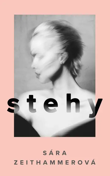 Stehy – obálka