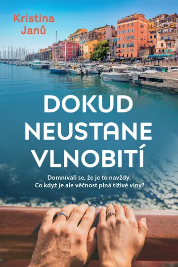 Dokud nestane vlnobití – obálka