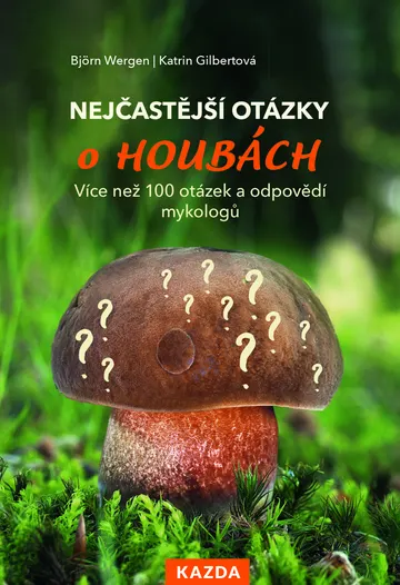 Nejčastější otázky o houbách