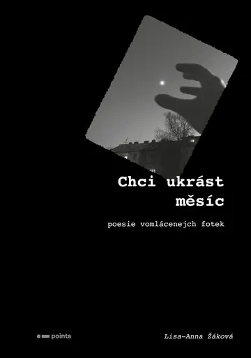 Chci ukrást měsíc – obálka