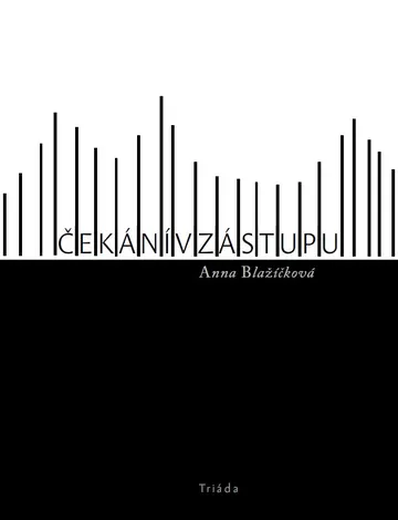 Čekání v zástupu – obálka