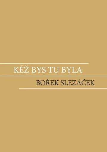 Kéž bys tu byla – obálka