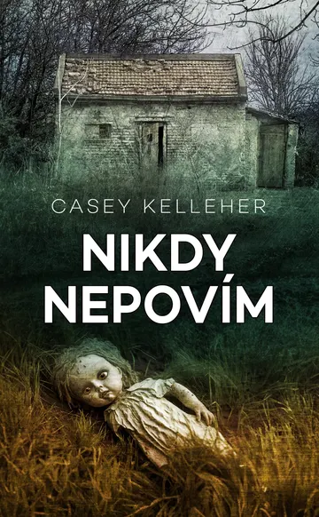 Nikdy nepovím – obálka