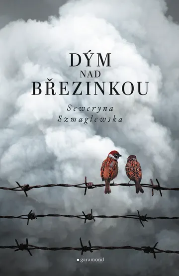 Dým nad Březinkou – obálka