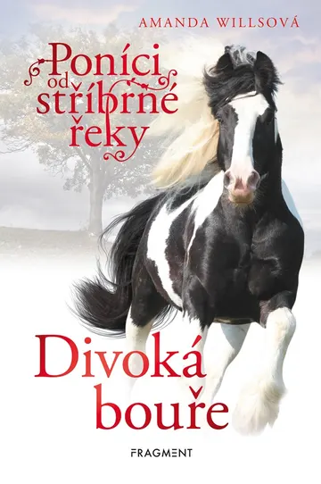 Poníci od stříbrné řeky – Divoká bouře – obálka