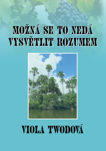 Možná se to nedá vysvětlit rozumem – obálka