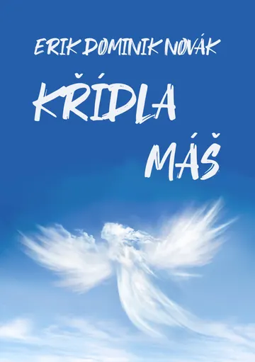 Křídla máš