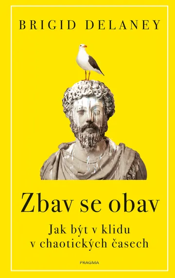 Zbav se obav – obálka