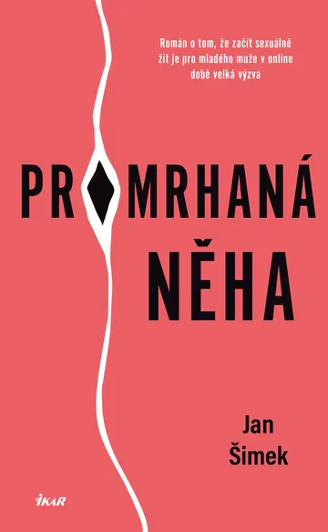 Promrhaná něha – obálka