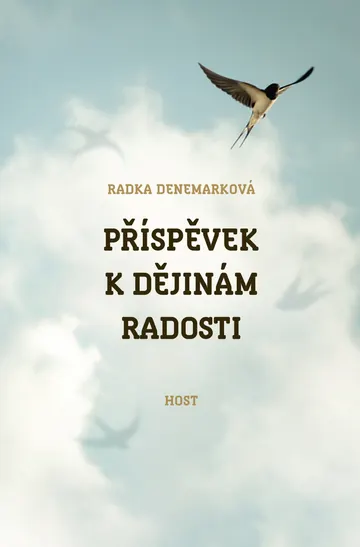 Příspěvek k dějinám radosti – obálka