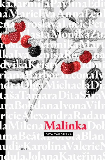 Malinka – obálka
