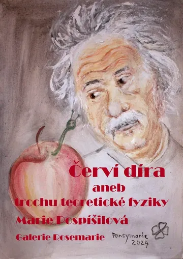 Červí díra aneb trochu teoretické fyziky