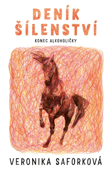 Deník šílenství – obálka