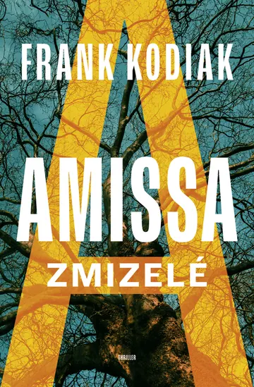 Amissa: Zmizelé – obálka