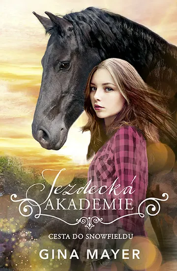 Cesta do Snowfieldu – obálka
