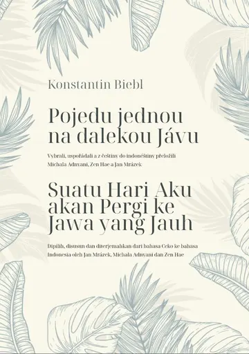 Konstantin Bieble Pojedu jednou na dalekou Jávu – obálka