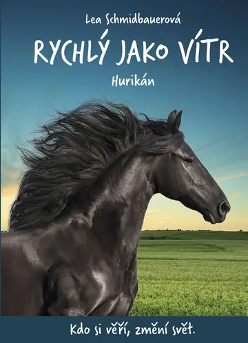Rychlý jako vítr: Hurikán – obálka
