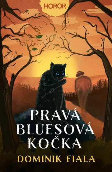 Pravá bluesová kočka – obálka