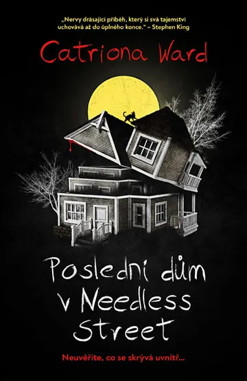 Poslední dům v Needless Street – obálka