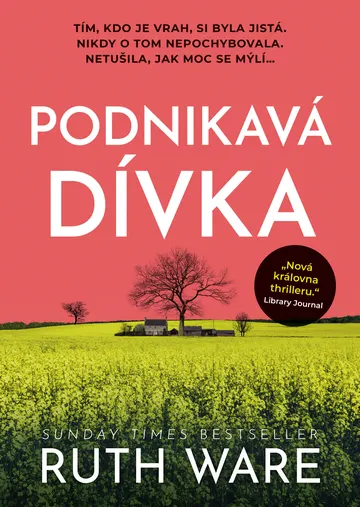 Podnikavá dívka – obálka