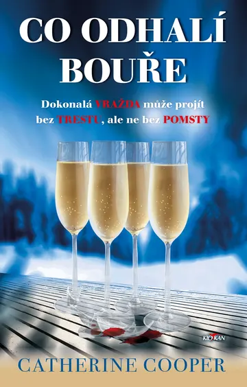 Co odhalí bouře – obálka