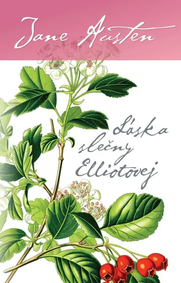 Láska slečny Elliotovej – obálka