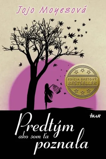 Predtým ako som Ťa poznala – obálka