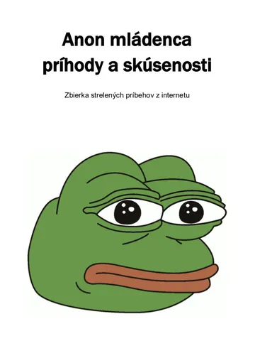 Anon mládenca príhody a skúsenosti – obálka