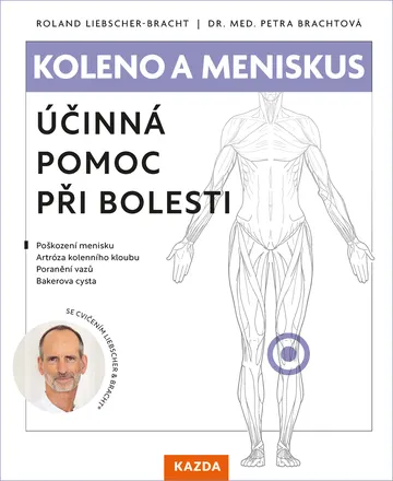 Koleno a meniskus