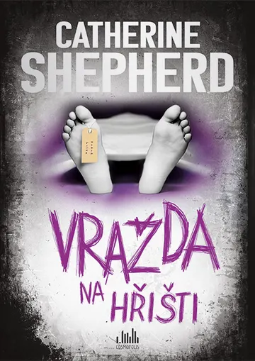 Vražda na hřišti – obálka