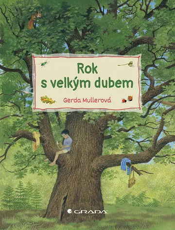 Rok s velkým dubem – obálka