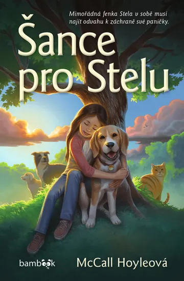 Šance pro Stelu – obálka