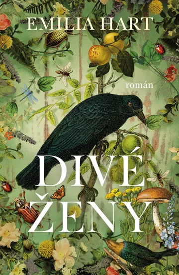Divé ženy – obálka