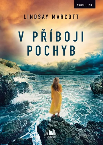 V příboji pochyb – obálka