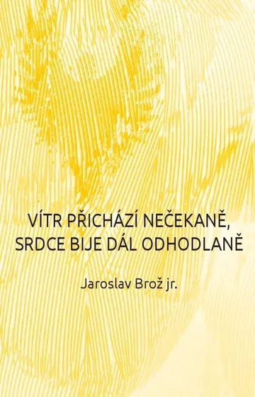 Vítr přichází nečekaně, srdce bije dál odhodlaně – obálka
